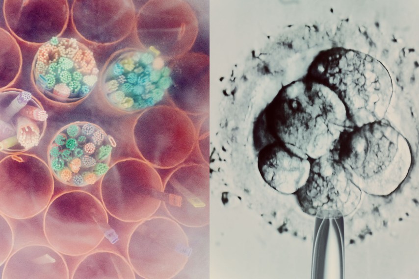 Inside the strange limbo facing millions of IVF embryos